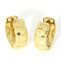 Scharniercreolen Gold 333 