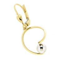 Ohrpendel Gold 333 bicolor