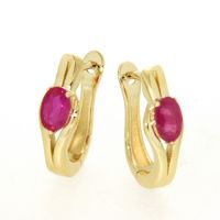 Scharniercreolen Gold 333 