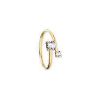 Ring Zirkonia 333 Gelbgold Größe 52