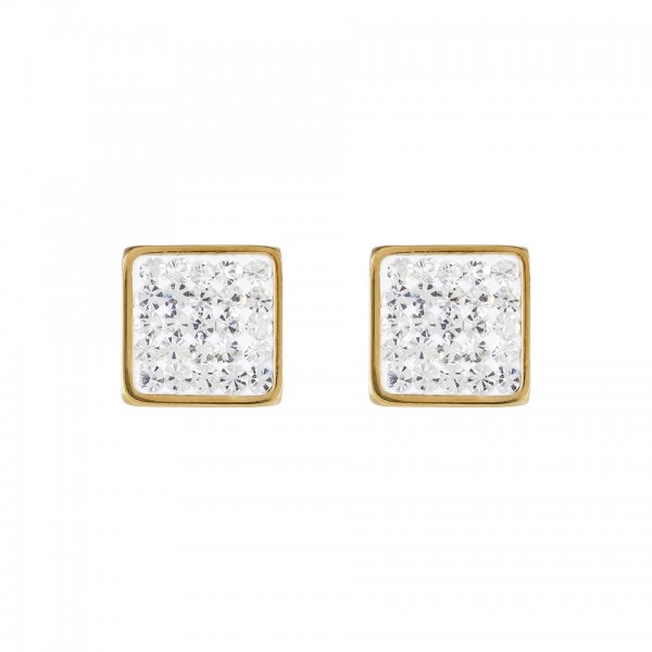 COEUR DE LION Ohrstecker 0317/21-1800