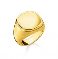 Thomas Sabo Ring Größe 52 TR2249-413-39-52