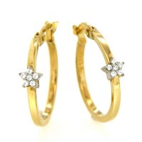 Creolen Gold 333 bicolor Stern Zirkonia