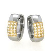 Scharniercreolen Titan IPG Zirkonia 