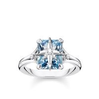 Thomas Sabo Ring Größe 50 TR2288-644-1-50