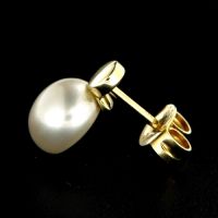 Ohrstecker Gold 333 Süßwasserperle