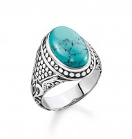 Thomas Sabo Ring Größe 58 TR2241-878-17-58