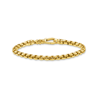 THOMAS SABO Armband A2005-413-39-L20