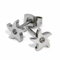 Ohrstecker Edelstahl Stern
