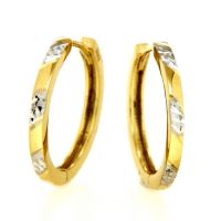 Scharniercreolen Gold 333 bicolor