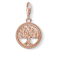 Thomas Sabo Charm-Anhänger 1861-416-14