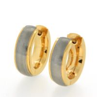 Scharniercreolen Titan IP gold