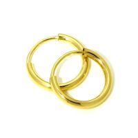 Drahtcreolen Gold 333 13 mm x 2 mm