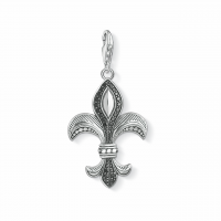 Thomas Sabo Charm-Anhänger Y0016-643-11