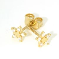 Ohrstecker Gold 333 Stern 